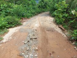 Baru Setahun Dibangun, Jalan Tani Senilai Rp183 Juta di Hulu Pisang Hancur Lebur: FORMAKI Cium Indikasi Kegagalan Konstruksi