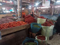Pasokan Melimpah, Harga Cabai di Pasar Induk Lambaro Turun Drastis