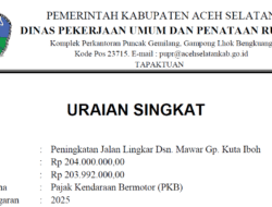 Dikebut 9 Hari: Proyek Jalan “Kejar Tayang” di Labuhanhaji Barat Senilai Rp 204 Juta Dipertanyakan