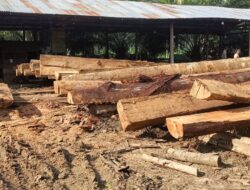 Sengkarut Kilang Kayu Jambo Dalem: Camat Mengaku “Tak Tahu”, DLH Pastikan Tak Ada Izin, KPH Masih Bungkam