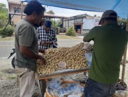 Petani Lokal Belum Panen, Pasokan Langsat Asal Kutacane Dominasi Pasar Musiman di Aceh Selatan