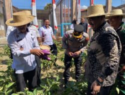 Dukung Ketahanan Pangan, Warga Binaan Lapas Lhoknga Panen Raya dan Salurkan Bantuan Sosial
