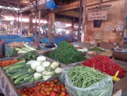 Belanja Dapur Tak Terganggu Emas, Harga Bahan Pokok di Pasar Induk Lambaro Tetap Stabil
