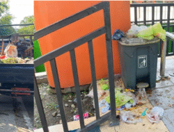 Estetika Jalan vs Kumuh Halte: Warga Blang Padang Gugat Kinerja Pembersihan Kota yang Tebang Pilih