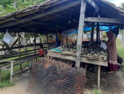 Setia di Pinggir Jalan, Ibu Zurida Rawat Harapan Lewat Kerang Kuala Segar di Ujung Padang