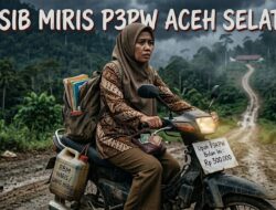 Di Aceh Selatan Upah 1.263 Guru P3KPW Rp300 Ribu/Bulan, Solusinya Tempatkan di Kecamatan Domisili