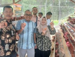 Kadis DPMG Aceh Selatan Apresiasi Pengelolaan Ayam Petelur BUMG Tunas Mudo Pulo Kambing