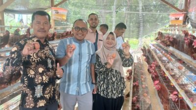 Kadis DPMG Aceh Selatan Apresiasi Pengelolaan Ayam Petelur BUMG Tunas Mudo Pulo Kambing
