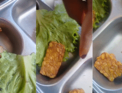 Heboh Menu MBG Berbelatung di Aceh Selatan, SPPG Yayasan Berkah Cahaya Bungkam Saat Dikonfirmasi