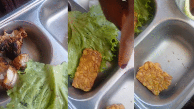 Heboh Menu MBG Berbelatung di Aceh Selatan, SPPG Yayasan Berkah Cahaya Bungkam Saat Dikonfirmasi